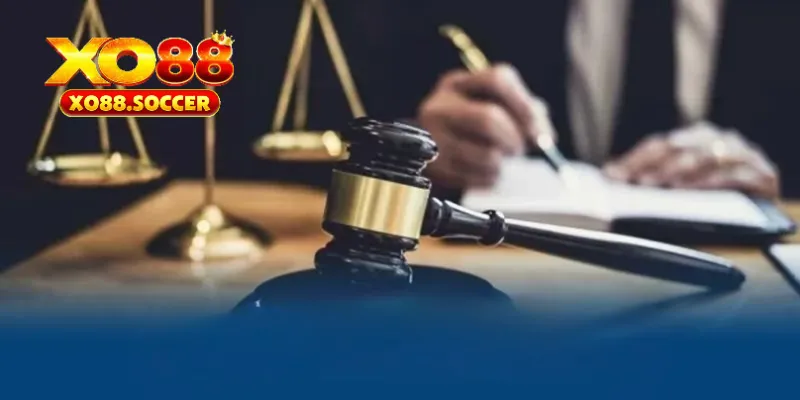 Nội dung điều kiện điều khoản quan trọng