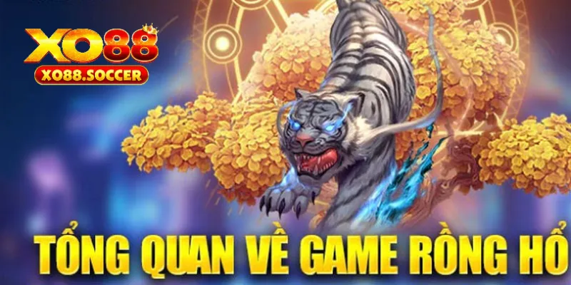 Rồng Hổ XO88 có sự ủng hộ và quan tâm đông đảo từ người chơi