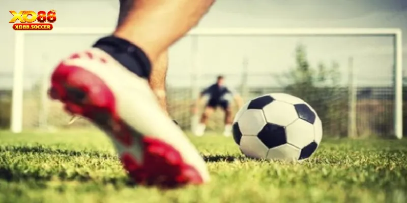 Những điều cần chú tâm khi cá cược